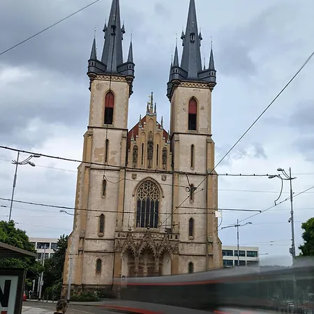 Homestay Cool On Letna D1