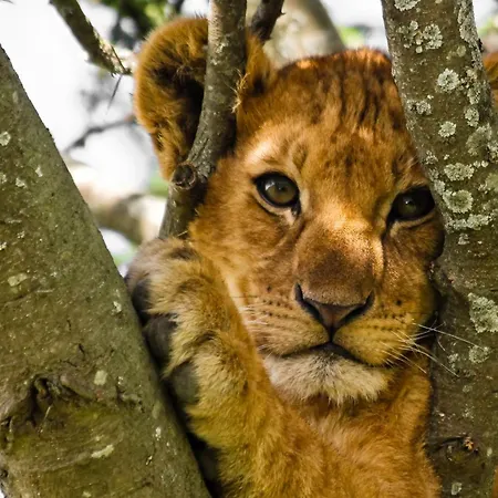 Cool On Letna D1 Homestay *