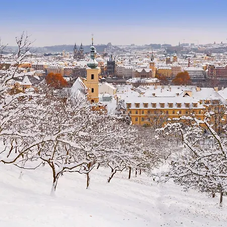 Cool On Letna D1 Homestay *